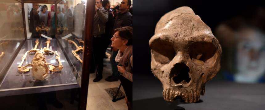 Uno studio ha ricostruito il Dna di 214 germi preistorici e mappato 37mila anni di malattie