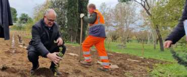 Gualtieri pianta un albero del primo bosco Pnrr