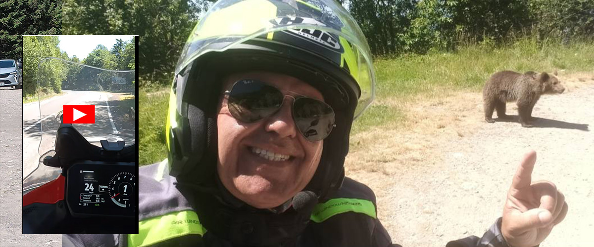 “Guardate l’orso, che bello!”. Italiano sbranato sulla strada maledetta di Ceaucescu. L’ultimo video e il selfie “Guardate l’orso, che bello!”. Italiano sbranato sulla strada maledetta di Ceaucescu. L’ultimo video e il selfie