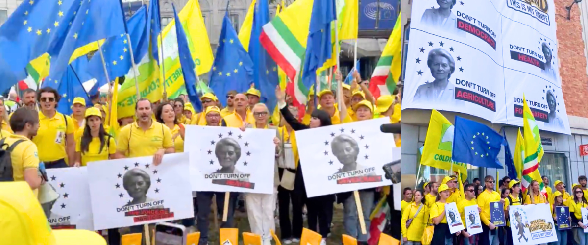 Ne hanno pieni gli stivali, gli agricoltori marciano a Bruxelles contro von der Leyen: “Un taglio del 20% è inconcepibile” Ne hanno pieni gli stivali, gli agricoltori marciano a Bruxelles contro von der Leyen: “Un taglio del 20% è inconcepibile”