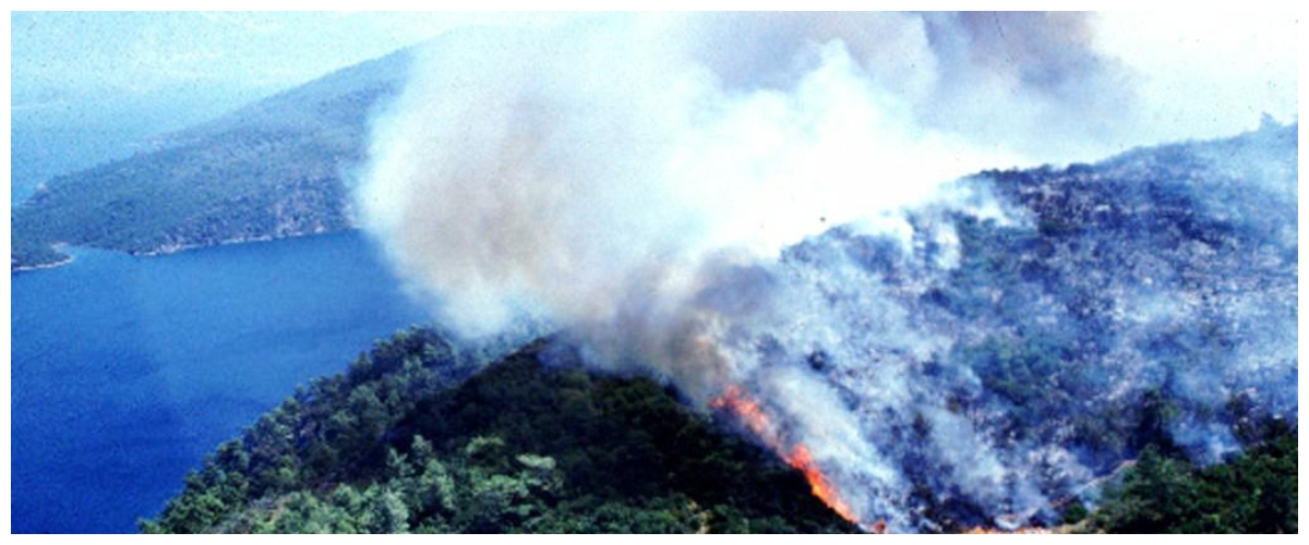 caldo record incendi su tutta l8217area del mediterraneo creta tra le fiamme 2 morti in turchia
