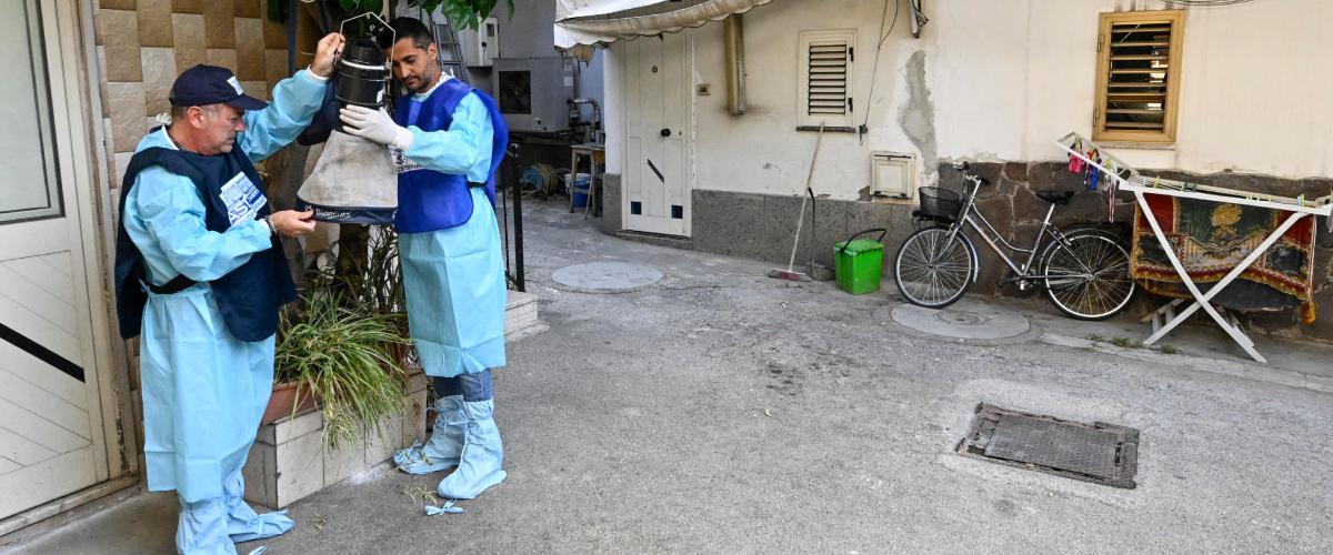West Nile, la Regione Lazio conferma sette nuovi casi: riunita la cabina di regia West Nile, la Regione Lazio conferma sette nuovi casi: riunita la cabina di regia