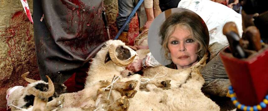 La battaglia di Brigitte Bardot contro la macellazione rituale islamica: la caccia ai mattatoi clandestini La battaglia di Brigitte Bardot contro la macellazione rituale islamica: la caccia ai mattatoi clandestini