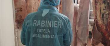 Frosinone, i carabinieri sequestrano due tonnellate di carne dell’est Europa. Lollobrigida: “Difendiamo il made in Italy”