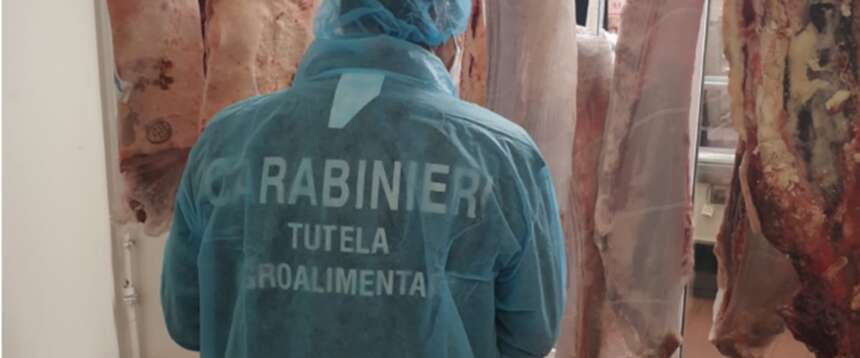Frosinone, i carabinieri sequestrano due tonnellate di carne dell’est Europa. Lollobrigida: “Difendiamo il made in Italy” Frosinone, i carabinieri sequestrano due tonnellate di carne dell’est Europa. Lollobrigida: “Difendiamo il made in Italy”
