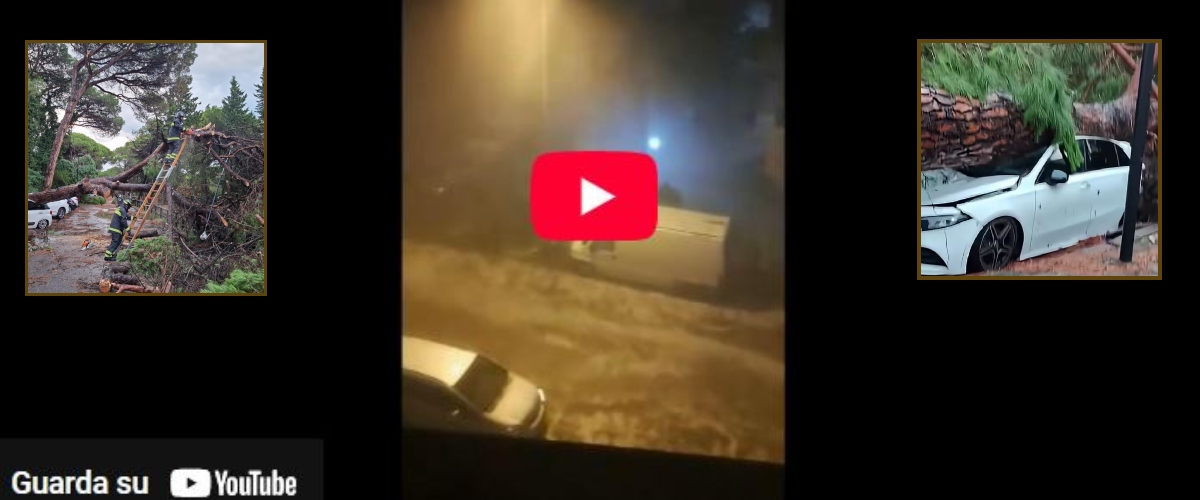 Bomba d’acqua e raffiche di vento sulla Romagna: allagamenti, tanta paura, danni. I sindaci: attenzione negli spostamenti (video) Bomba d’acqua e raffiche di vento sulla Romagna: allagamenti, tanta paura, danni. I sindaci: attenzione negli spostamenti (video)