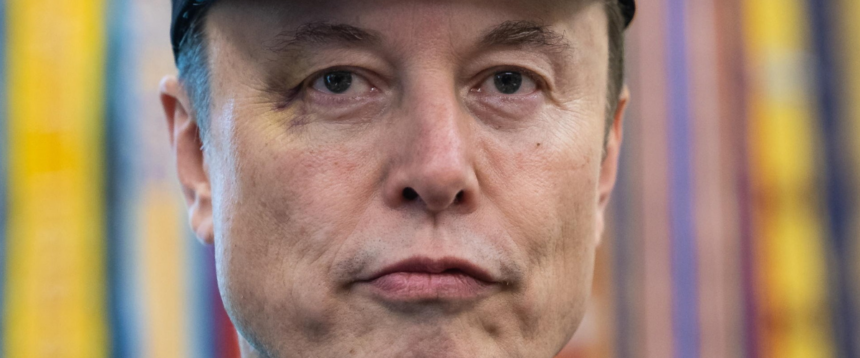 MUSK TERZO PARTITO VANCE