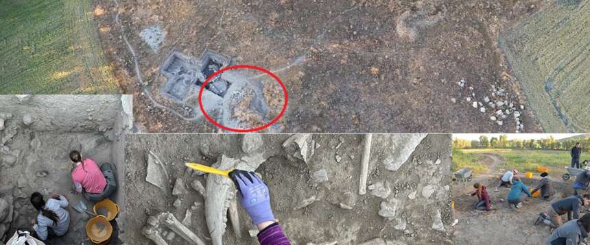 Gli archeologi italiani scoprono “il cerchio dei bambini perduti” in Turchia: tra gli indizi c’è anche un dentino