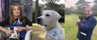 Giornata mondiale del cane, anche la politica festeggia Fido. La Russa: “È parte integrante delle nostre famiglie”