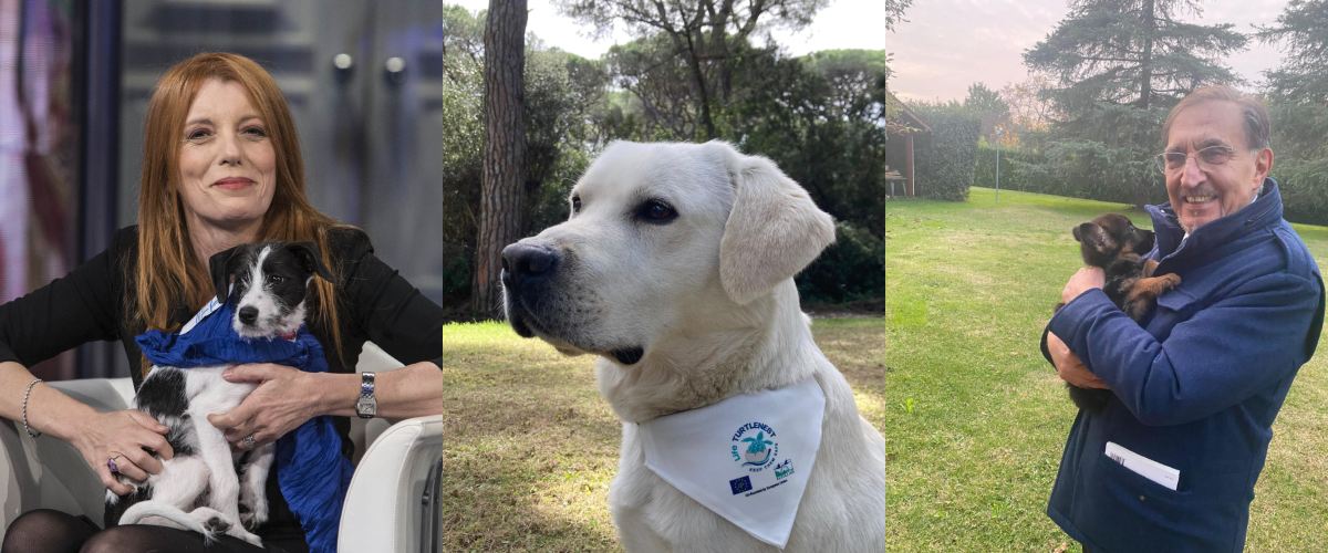 giornata mondiale del cane anche la politica festeggia fido la russa 200 parte integrante delle nostre famiglie