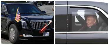 Bestia Cadillac