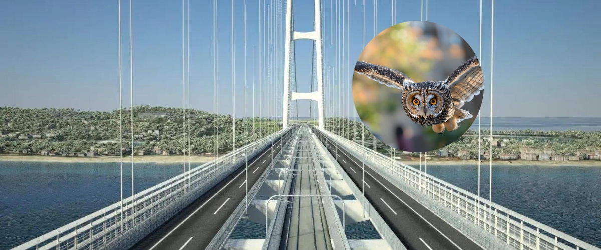Nasce il partito della macumba, “Il Ponte non regge”. Evocati terremoti e apocalissi varie. Tocchiamo ferro
