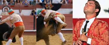 Giovane torero incornato a morte a Lisbona (video). La mamma agli animalisti: “Piango un figlio e voi esultate?”