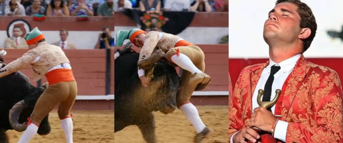 Giovane torero incornato a morte a Lisbona (video). La mamma agli animalisti: “Piango un figlio e voi esultate?” Giovane torero incornato a morte a Lisbona (video). La mamma agli animalisti: “Piango un figlio e voi esultate?”