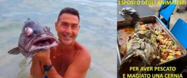 Vannacci denunciato dagli animalisti per la cernia postata su Fb. Il generale rilancia: “L’ho anche mangiata”