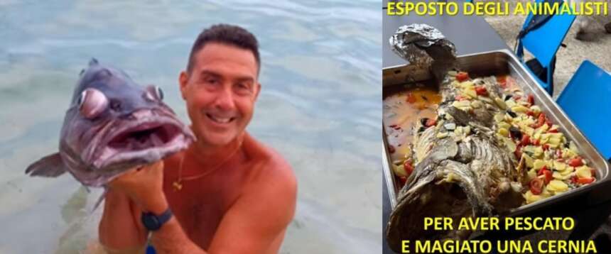 Vannacci denunciato dagli animalisti per la cernia postata su Fb. Il generale rilancia: “L’ho anche mangiata”