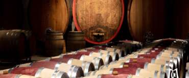 Lecce, sequestrate 150 tonnellate di vino “Primitivo” contraffatto. Lollobrigida: “Così si tutela il Made in Italy”