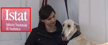 Soli con un cane: le previsioni Istat sugli italiani del 2050 delineano un quadro desolante