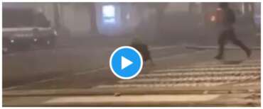 Si scrive Pro-Pal si legge Intifada: alla stazione di Bologna urla in arabo e lancio di pietre contro la polizia (video)