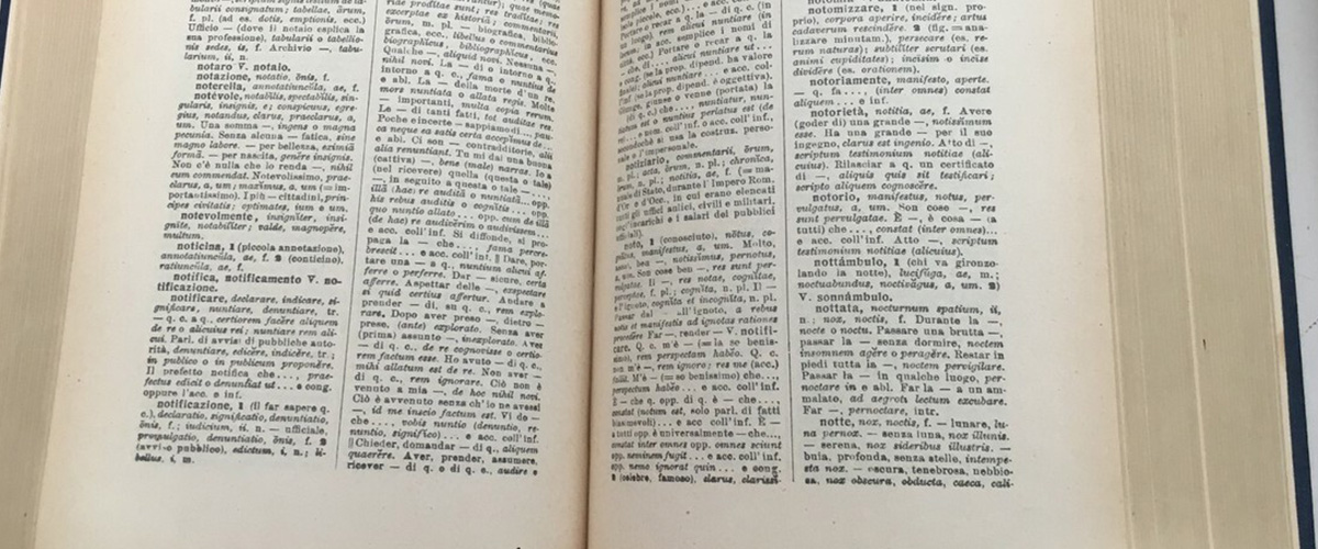Anche la Francia sta scoprendo che la difesa della lingua è importante: “C’è una devicilizzazione in atto”. E in Italia?