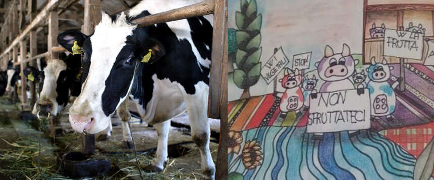 L’ultima follia animalista: nel diario delle scuole si dice che “le mucche sono sfruttate” dagli allevatori L’ultima follia animalista: nel diario delle scuole si dice che “le mucche sono sfruttate” dagli allevatori