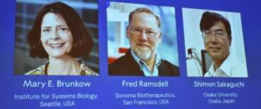 Il Nobel per la Medicina a Mary E.Brunkow, Fred Ramsdell e Shimon Sakaguchi. Hanno identificato le «guardie di sicurezza» del sistema immunitario