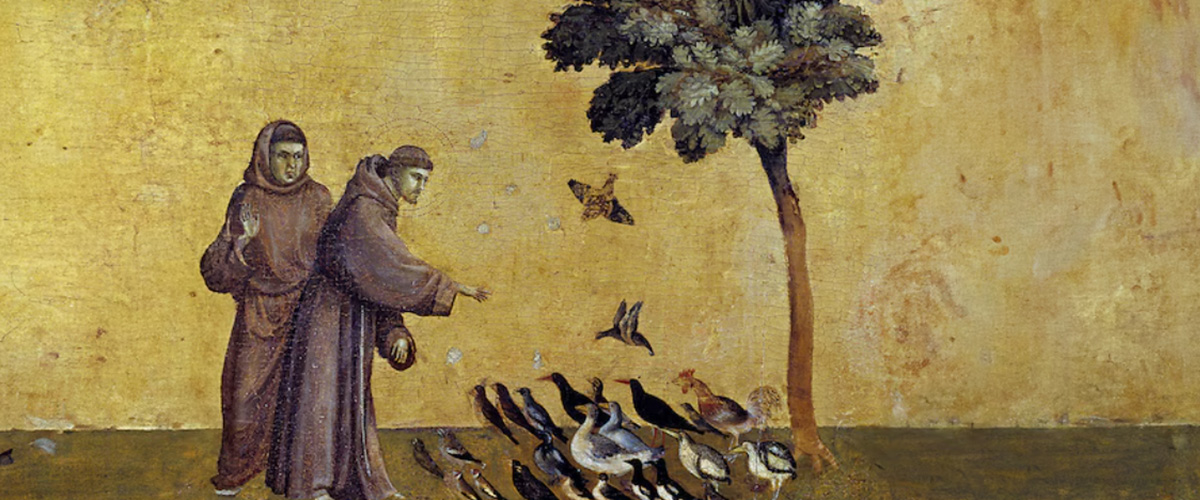 san francesco torna festa nazionale il 4 ottobre il centrodestra approva la legge meloni simbolo di identit224