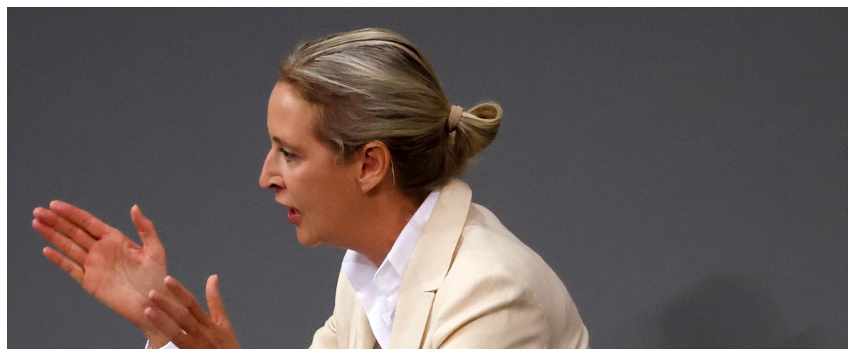 Germania, AfD cresce ancora nei sondaggi: primo partito nazionale, con il 27,5 dei consensi Germania, AfD cresce ancora nei sondaggi: primo partito nazionale, con il 27,5 dei consensi