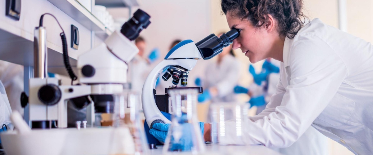 “Innovare per curare”: alla Camera la presentazione del progetto per formare “scienziati digitali” a Taranto “Innovare per curare”: alla Camera la presentazione del progetto per formare “scienziati digitali” a Taranto