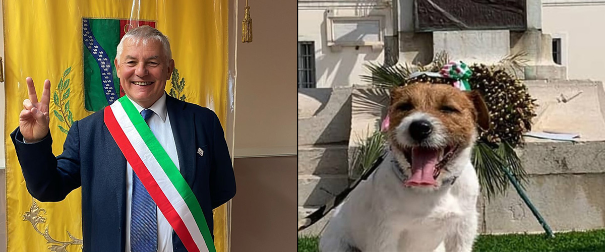 Sindaco di sinistra eletto grazie ai voti del suo cane: le schede col nome “Thor” per i giudici sono valide Sindaco di sinistra eletto grazie ai voti del suo cane: le schede col nome “Thor” per i giudici sono valide
