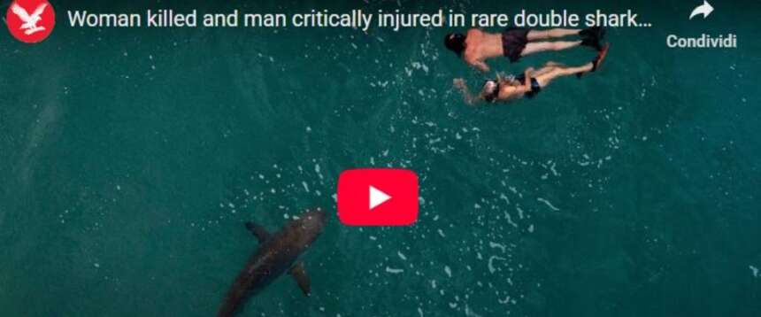 Australia, squalo attacca due ragazzi, morta una ventenne