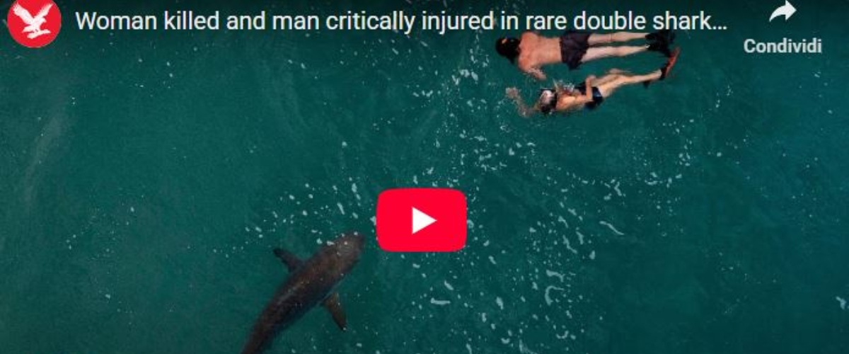 Australia, squalo attacca due ragazzi, morta una ventenne