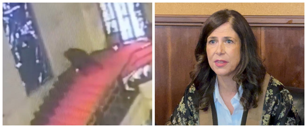 Bufera su Emanuele Cani, l’assessore sardo che ha distrutto un Sironi (video). Todde lo difende: “Lasciatelo in pace” Bufera su Emanuele Cani, l’assessore sardo che ha distrutto un Sironi (video). Todde lo difende: “Lasciatelo in pace”