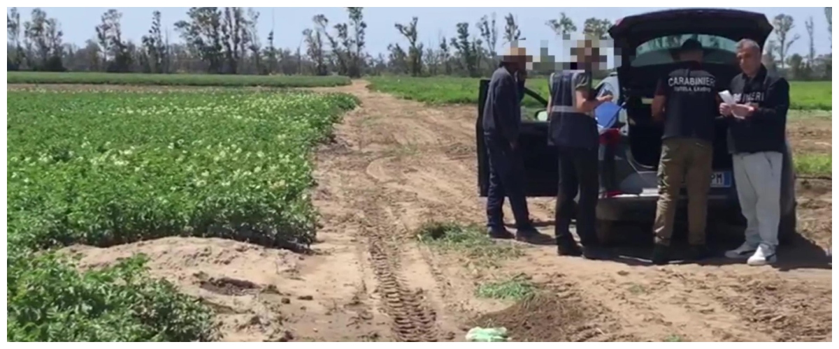 sfruttavano gli immigrati pagandoli cinque euro l8217ora quattro arresti per caporalato nel messinese