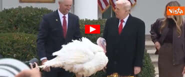 Trump “grazia” un tacchino in diretta tv e riceve un ringraziamento sonoro dal pennuto (video)