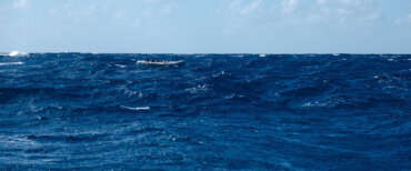 Le Ong denunciano una strage di migranti nel mare in burrasca. Accuse al governo, non agli scafisti…