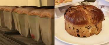 Pandoro vs Panettone