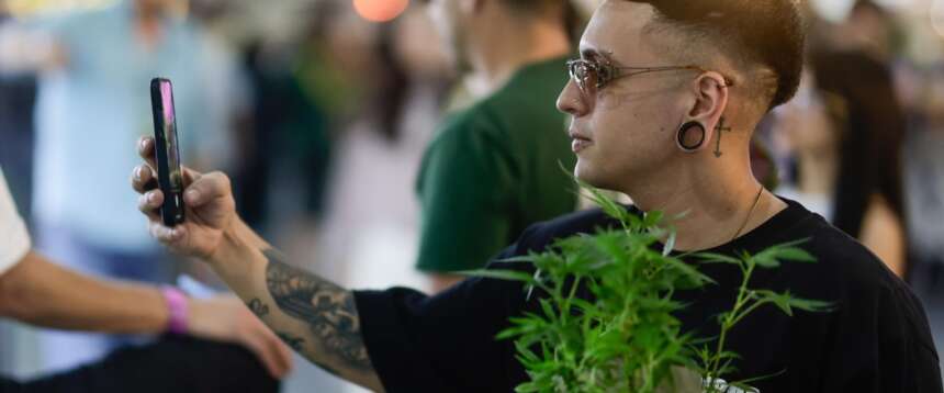 Cannabis, altro che innocuo spinello. L’Sos di Palazzo Chigi: contiene una sostanza sintetica che può portare alla morte