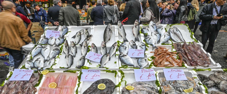 Pesce e frutti di mare avariati a Natale, muore una ragazzina a Campobasso: epatite fulminante?