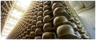 Parmigiano