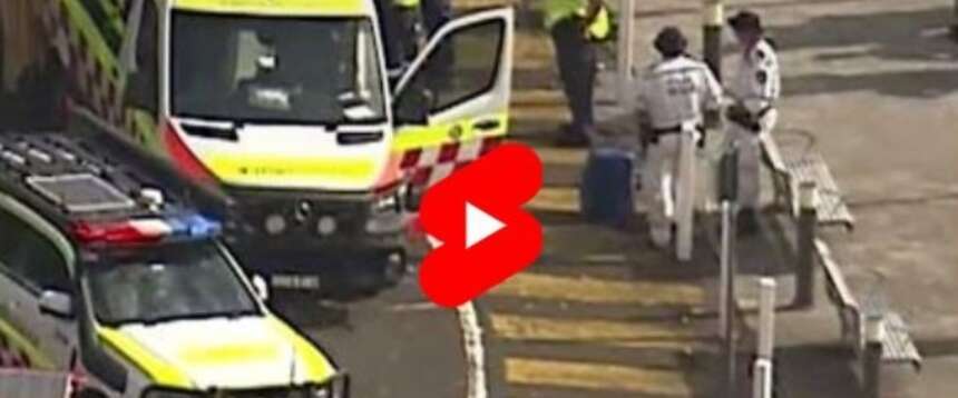 Feroce attacco di uno squalo a un 13enne che faceva il bagno nella baia di Sidney