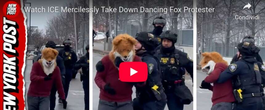Si traveste da volpe e blocca il traffico per ballare: la polizia lo placca e lo arresta. Protesta folle negli Usa (video)