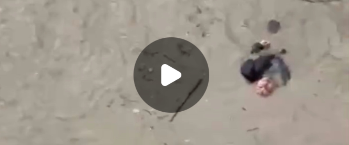 donna precipita nel tevere e viene salvata dai vigili del fuoco 232 in prognosi riservata video da Secoloditalia.it donna precipita nel tevere e viene salvata dai vigili del fuoco 232 in prognosi riservata video