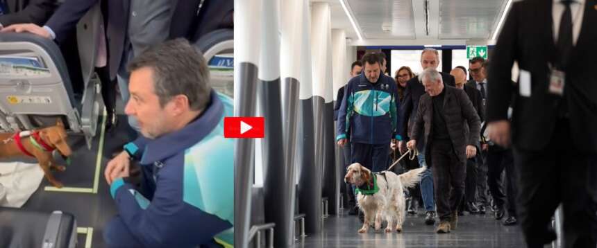 Via libera ai cani in aereo in cabina coi proprietari. Salvini accoglie a Fiumicino i due passeggeri speciali di un volo “test”