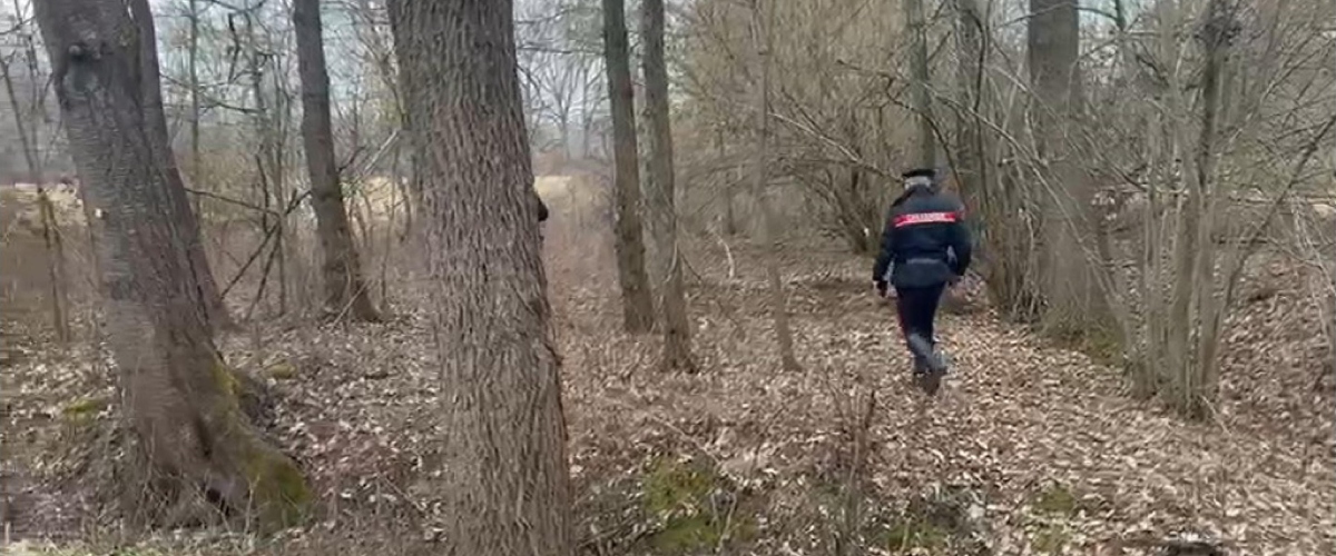 orrore a torino ritrovata sepolta in un bosco il figlio confessa l8217ho uccisa volevo la pensione da Secoloditalia.it orrore a torino ritrovata sepolta in un bosco il figlio confessa l8217ho uccisa volevo la pensione