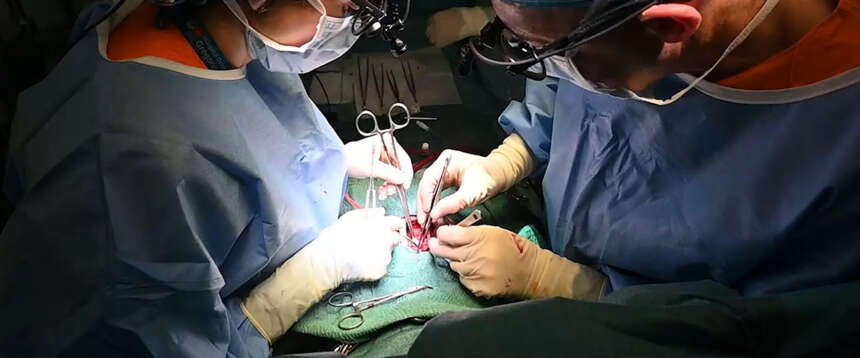 Napoli, cuore “bruciato” trapiantato a un bambino di due anni: sospesi due chirurghi