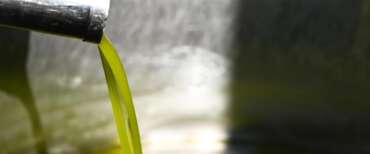 Falso olio extravergine: sventata una maxi-truffa di18 tonnellate di prodotto contraffatto. Lollobrigida: Italia leader nei controlli