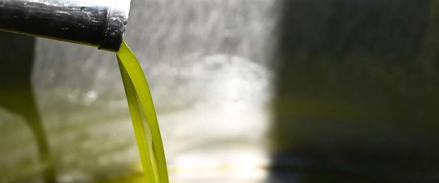 Falso olio extravergine: sventata una maxi-truffa di18 tonnellate di prodotto contraffatto. Lollobrigida: Italia leader nei controlli