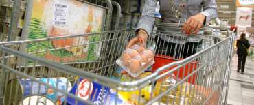 Sicurezza alimentare, date di scadenza e buon senso per evitare rischi e sprechi