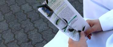 Domenica delle palme, storia, simbologia e rito della ricorrenza cristiana